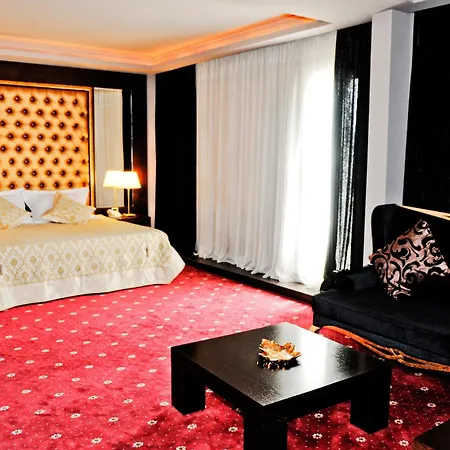 多罗城市酒店 地拉那