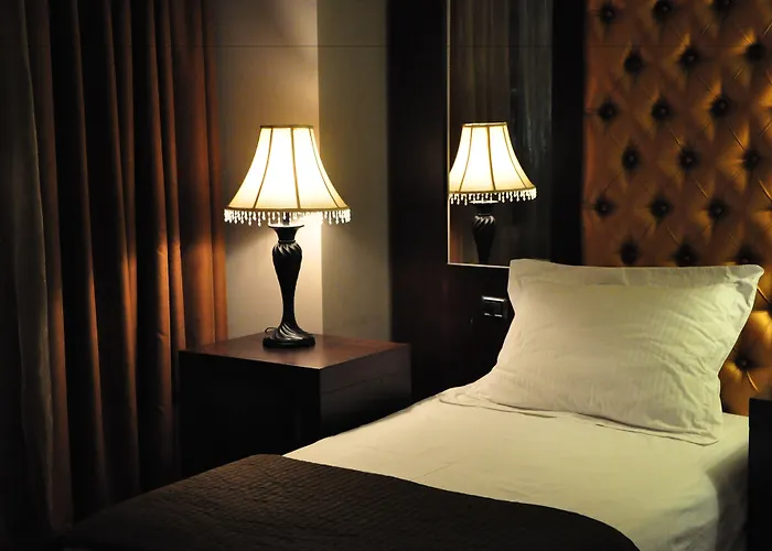 多罗城市酒店 地拉那